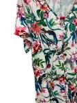 image00031